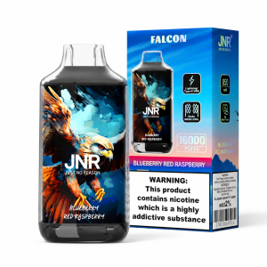 jnr falcon 16000 puffs rechargeable dual mesh disposable vape