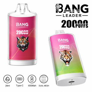 bang leader 20000 puffs disposable vape